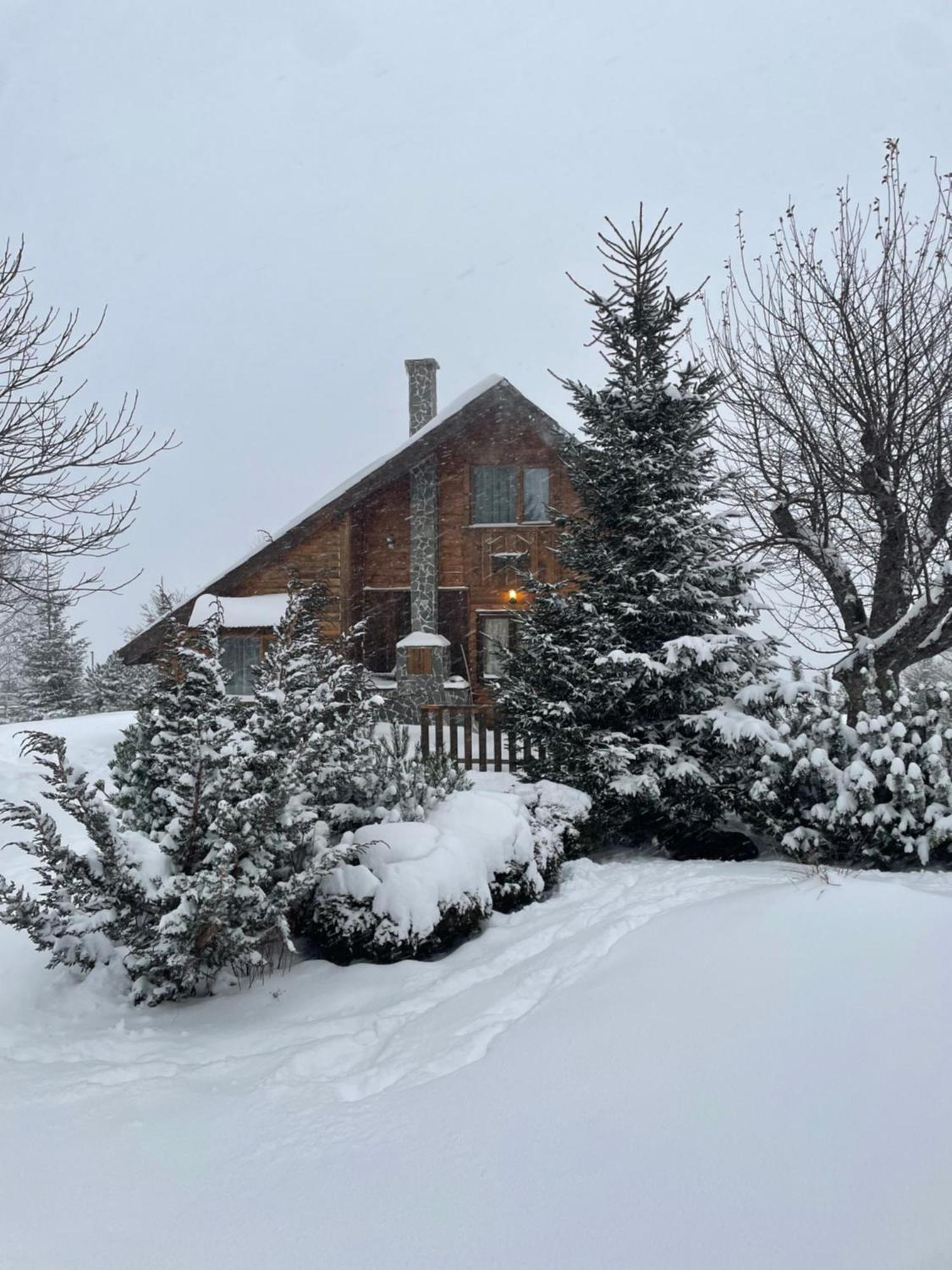 Chalet Ro Peştera Extérieur photo